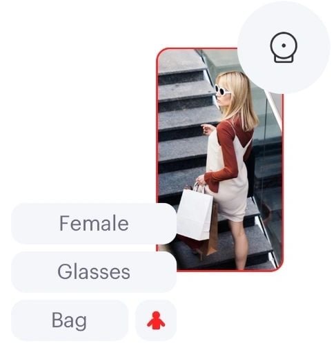 Female Glasses Bag